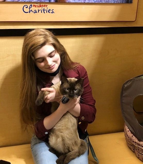Volunteer holding a black cat