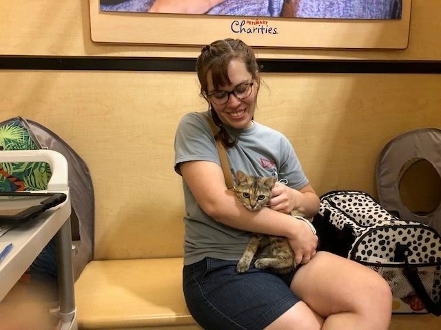 Volunteer holding a tabby kitten