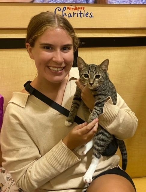 Volunteer holding a tabby cat