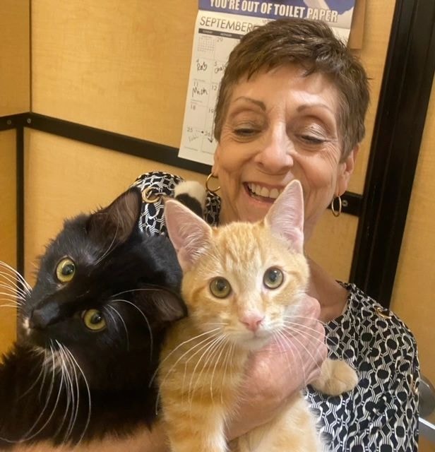 Volunteer holding two cats